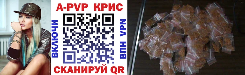 Альфа ПВП СК КРИС  Лермонтов 