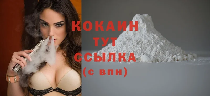 где продают наркотики  Лермонтов  COCAIN FishScale 