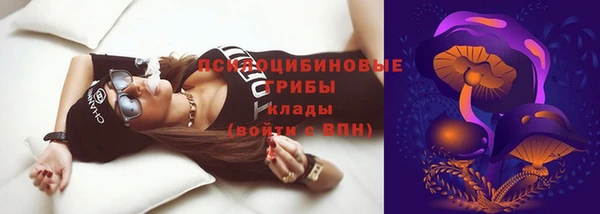 mdma Новодвинск