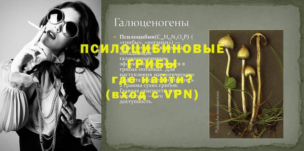 мескалин Надым