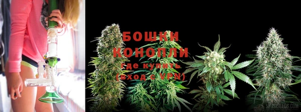 марки lsd Нея